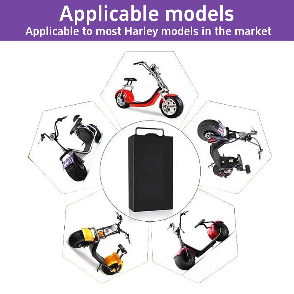 Литиевая батарея 60В для элект – обзор и цена 60V 30Ah Electric Scooter Battery